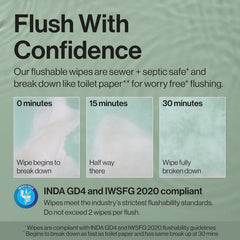 The Honest Company Flushable Wipes for Sensitive Skin, Hypoallergenic, Fragrance-Free, Gilded Wings Design, 126 Count